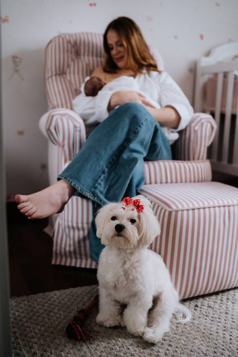 A cachorrinha da família aparece ao lado da poltrona onde Jessica está sentada, participando dos registros dos primeiros dias de Maria Clara em casa.'