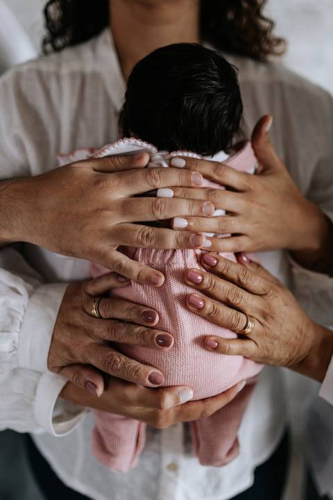 Mãos da família acariciando delicadamente Julieta.'