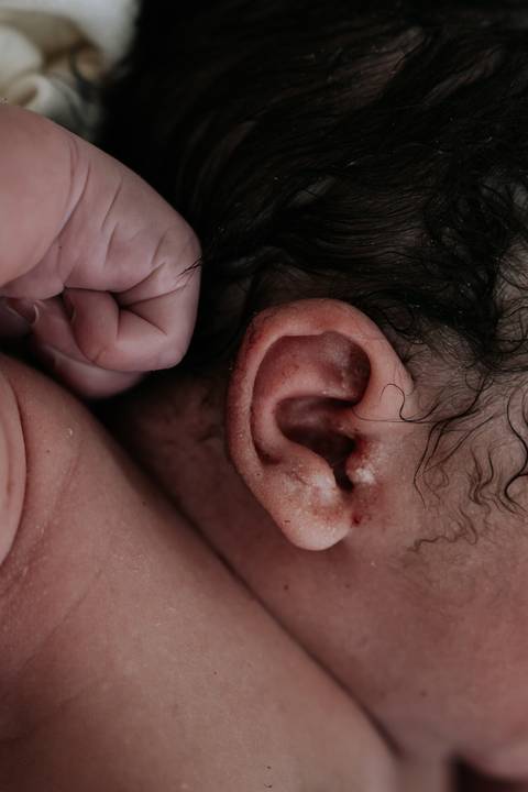 Detalhes de José Joaquim.'