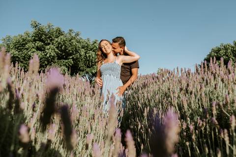 ensaio gestante em holambra
'