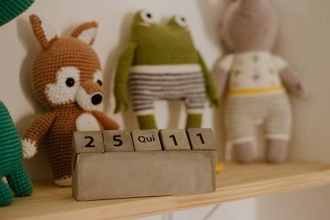 fotografa de parto domiciliar em sp
'