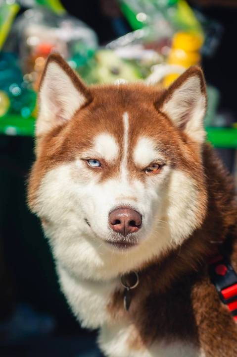'
