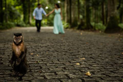pre-wedding-rio-de-janeiro-cristo-redentor-bondinho-copacabana-barra-da-tijuca-apoador-praia-ensaio-noiva-noivo-casamento-na-praia-cerimonia-casar-fotos-na-praia-wedding-brasil-fotografo-mini-casamento-daniel-custodio-minas-uberlandia-fotos-retrato-filme-'