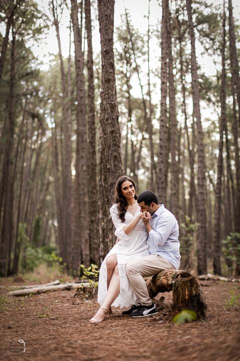 casamento-civil-casar-cerimonia-cartorio-patio-sabia-buque-make-daniel-custodio-por-do-sol-ensaio-pre-wedding-igreja-chacara-noiva-madrinha-padrinho-noivo-amor-uberlandia-vestido-terno-fotos-amor-fotografo-profissional-alianca-dj-buffet-cerimonial-banda-'