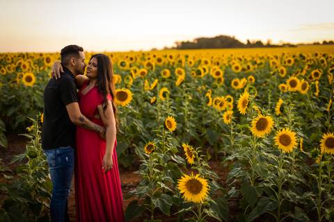 pre-wedding-ensaio-fotos-de-casamento-daniel-custodio-fotografo-uberlandia-casamento-namoro-minas-gerias-religioso-make-noiva-noivo-aliança-civil-madrinha-padrinho-chacara-fotografo-de-casamento-dj-buffet-vestido-buque-amor-love-floresta-do-lobo-igreja-'