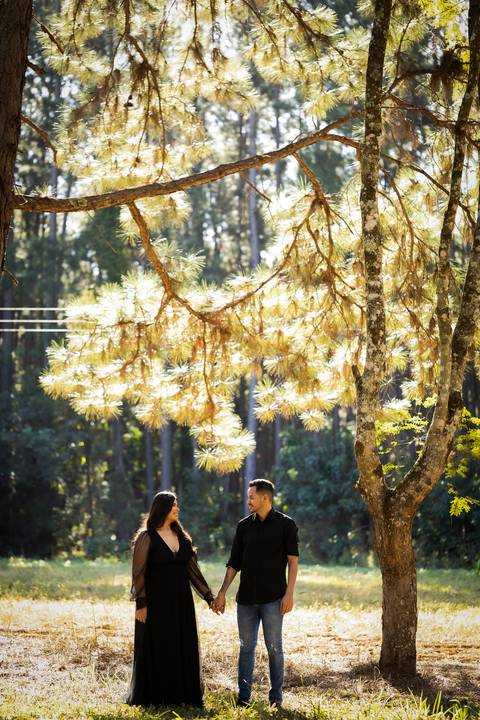 pre-wedding-ensaio-fotos-de-casamento-daniel-custodio-fotografo-uberlandia-casamento-namoro-minas-gerias-religioso-make-noiva-noivo-aliança-civil-madrinha-padrinho-chacara-fotografo-de-casamento-dj-buffet-vestido-buque-amor-love-floresta-do-lobo-igreja-'