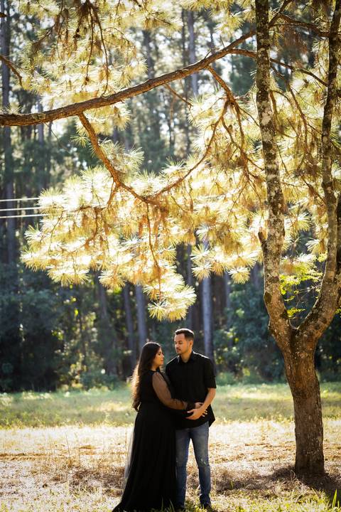 pre-wedding-ensaio-fotos-de-casamento-daniel-custodio-fotografo-uberlandia-casamento-namoro-minas-gerias-religioso-make-noiva-noivo-aliança-civil-madrinha-padrinho-chacara-fotografo-de-casamento-dj-buffet-vestido-buque-amor-love-floresta-do-lobo-igreja-'