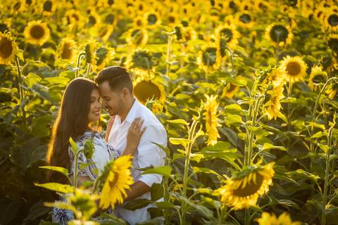 pre-wedding-ensaio-fotos-de-casamento-daniel-custodio-fotografo-uberlandia-casamento-namoro-minas-gerias-religioso-make-noiva-noivo-aliança-civil-madrinha-padrinho-chacara-fotografo-de-casamento-dj-buffet-vestido-buque-amor-love-floresta-do-lobo-igreja-'