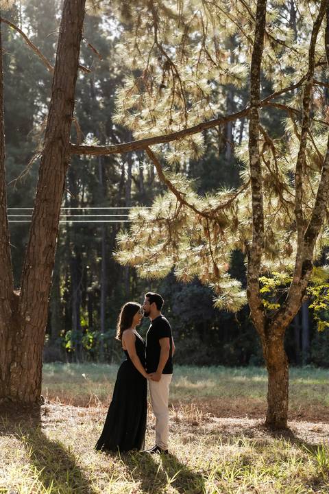 pre-wedding-casamento-ensaio-igreja-cerimonia-noiva-daniel-custodio-fotografias-de-casamento-uberlandia-fotografo-cerimonial-por-do-sol-vestido-terno-atelie-buque-buffet-chacara-banda-uberlandia-minas-gerais-goias-aragauri-brasil-chacara-pista-de dança-'