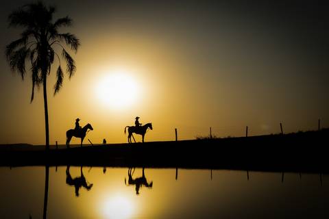 pre-wedding-casamento-ensaio-igreja-cerimonia-noiva-daniel-custodio-fotografias-de-casamento-uberlandia-fotografo-cerimonial-por-do-sol-vestido-terno-atelie-buque-buffet-chacara-banda-uberlandia-minas-gerais-goias-aragauri-brasil-chacara-pista-de dança-'