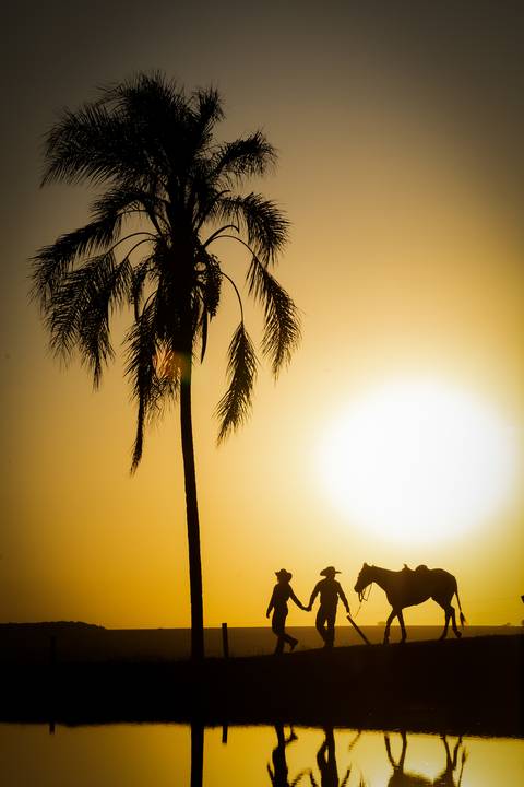 pre-wedding-casamento-ensaio-igreja-cerimonia-noiva-daniel-custodio-fotografias-de-casamento-uberlandia-fotografo-cerimonial-por-do-sol-vestido-terno-atelie-buque-buffet-chacara-banda-uberlandia-minas-gerais-goias-aragauri-brasil-chacara-pista-de dança-'