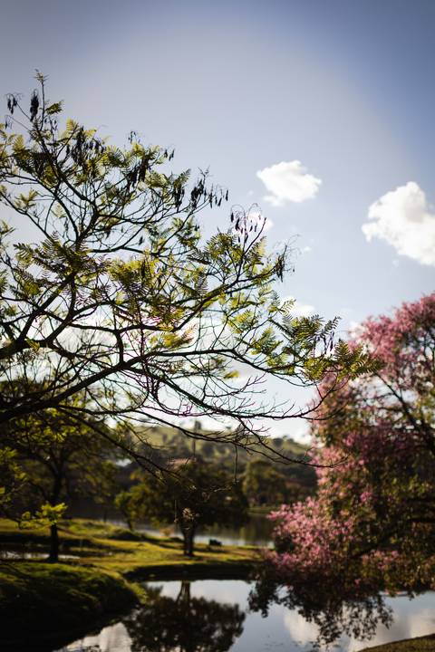 pre-wedding-ensaio-fotos-fotografias-casal-casamento-noiva-noivo-araxa-minas-gerais-daniel-custodio-uberlandia-casar-make off-padrinha-madrinho-dama-foto-cinema-amor-love-buque-criativo-viagem-love-amar-fotografo-cerimonial-igreja-chacara,festa-DJ'