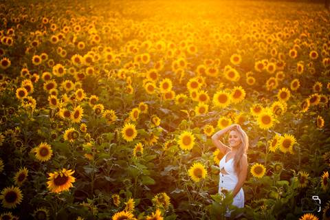 ensaio-uberlandia-minas-geraisrenata-girassol'