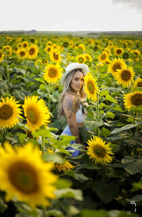 ensaio-uberlandia-minas-geraisrenata-girassol'