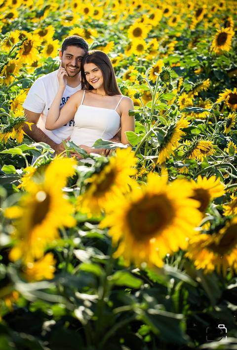 ensaio-namorados-mariaclaraeluiz-uberlandia-daniel-custodio-girassol'