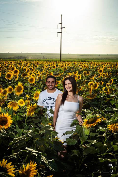 ensaio-namorados-mariaclaraeluiz-uberlandia-daniel-custodio-girassol'