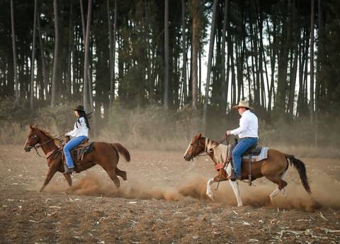 pre-wedding-camila-e-pablo-uberlandia-floresta-do-lobo-fernanda-naves-estação-ensaio-com-cavalos'