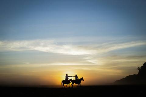pre-wedding-camila-e-pablo-uberlandia-floresta-do-lobo-fernanda-naves-estação-ensaio-com-cavalos'
