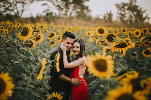 prewedding-wedding-ensaio-namoro-fotografias-ensaiodecasal-casaamento-casamentoemuberlandia-miniwedding-minicasamento-girassolensaio-girassol-danielcustodiofotografo-fotografoemuberlandia-fotografias-casamentolindo-florestadolobo-casamentominimalista'