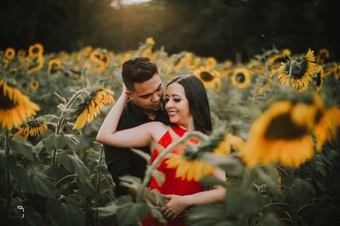 prewedding-wedding-ensaio-namoro-fotografias-ensaiodecasal-casaamento-casamentoemuberlandia-miniwedding-minicasamento-girassolensaio-girassol-danielcustodiofotografo-fotografoemuberlandia-fotografias-casamentolindo-florestadolobo-casamentominimalista'