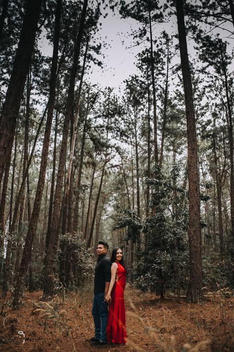 prewedding-wedding-ensaio-namoro-fotografias-ensaiodecasal-casaamento-casamentoemuberlandia-miniwedding-minicasamento-girassolensaio-girassol-danielcustodiofotografo-fotografoemuberlandia-fotografias-casamentolindo-florestadolobo-casamentominimalista'