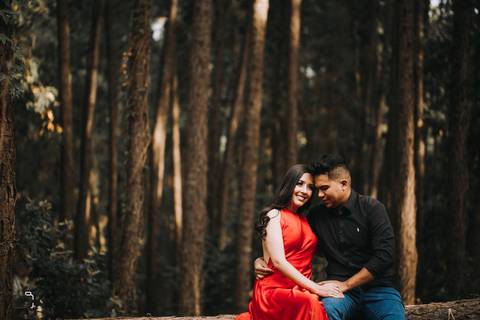 prewedding-wedding-ensaio-namoro-fotografias-ensaiodecasal-casaamento-casamentoemuberlandia-miniwedding-minicasamento-girassolensaio-girassol-danielcustodiofotografo-fotografoemuberlandia-fotografias-casamentolindo-florestadolobo-casamentominimalista'