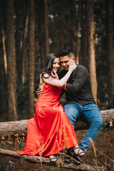 prewedding-wedding-ensaio-namoro-fotografias-ensaiodecasal-casaamento-casamentoemuberlandia-miniwedding-minicasamento-girassolensaio-girassol-danielcustodiofotografo-fotografoemuberlandia-fotografias-casamentolindo-florestadolobo-casamentominimalista'