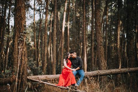 prewedding-wedding-ensaio-namoro-fotografias-ensaiodecasal-casaamento-casamentoemuberlandia-miniwedding-minicasamento-girassolensaio-girassol-danielcustodiofotografo-fotografoemuberlandia-fotografias-casamentolindo-florestadolobo-casamentominimalista'