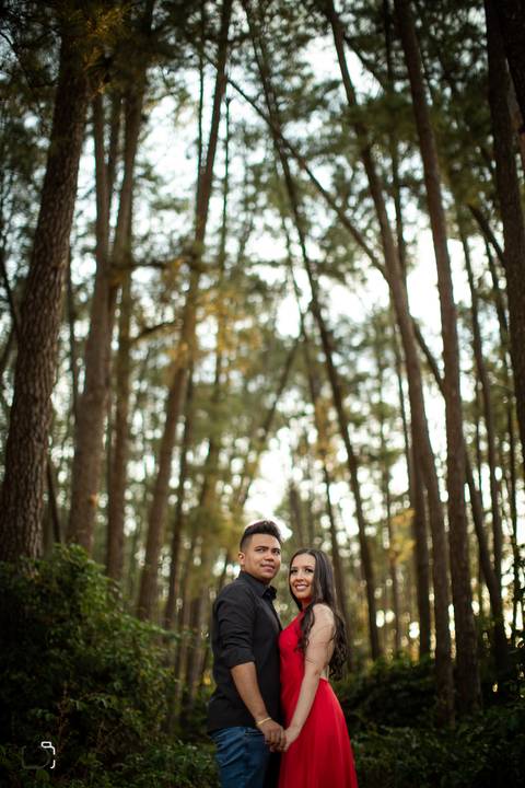 prewedding-wedding-ensaio-namoro-fotografias-ensaiodecasal-casaamento-casamentoemuberlandia-miniwedding-minicasamento-girassolensaio-girassol-danielcustodiofotografo-fotografoemuberlandia-fotografias-casamentolindo-florestadolobo-casamentominimalista'
