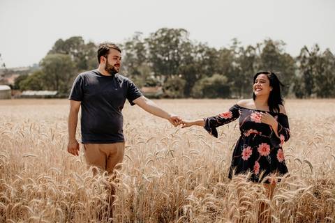 Pré-casamento em campo de trigo'