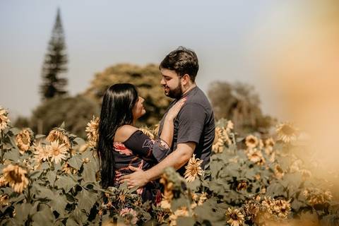 Campo de girassóis'