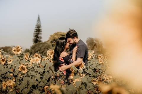 Casal no meio dos girassóis'