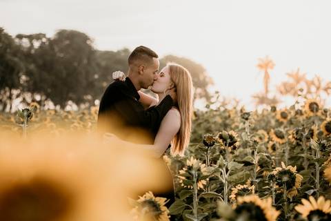 Noivos se beijando no meio do campo de girassóis'