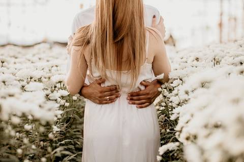 Casal na estufa de gérberas '