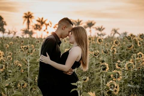 fotografia do Ensaio fotográfico no campo de girassóis'