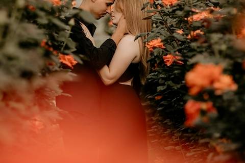 Campo de flores laranja'