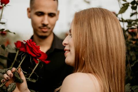 Flor vermelha e a noiva'