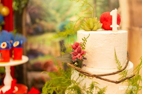 umano, brancadenevedecor, fotografoflorianopolis, aniversarioflorianopolis, fotosdefamilia, fotoinfantil, bebe'