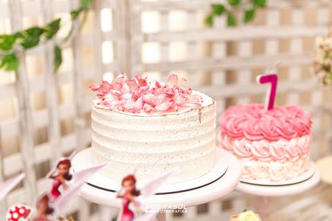 seteanos, fadinhadecor, fotografoflorianopolis, aniversarioflorianopolis, fotosdefamilia, fotoinfantil, bebe'