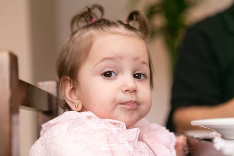 umano, jardim, fotografoflorianopolis, aniversarioflorianopolis, fotosdefamilia, fotoinfantil, bebe'