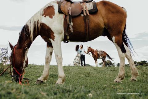 pre wedding pré casamento na fazenda'