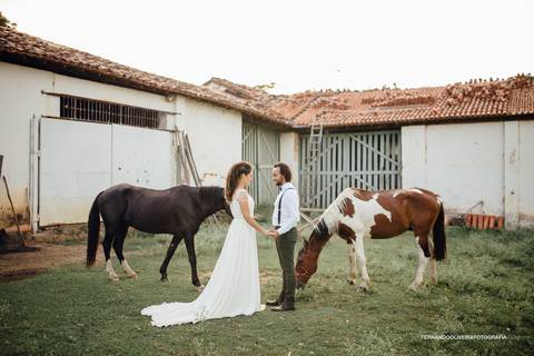 casamento com cavalos em itu sp'