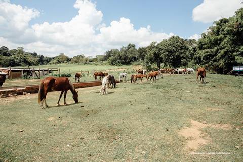 casamento na fazenda em itu sp fotografo de casamento'