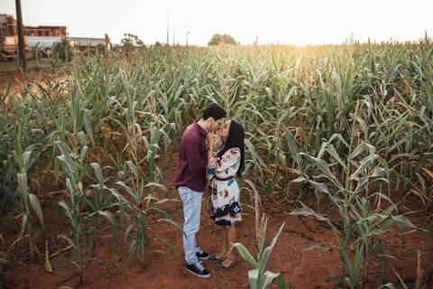 Sessão pre casamento em Holambra Sp campo de milho pre wedding'
