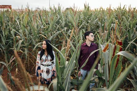 Sessão pre casamento em Holambra Sp campos pre wedding'