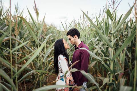 Sessão pre casamento em Holambra Sp milho pre wedding'