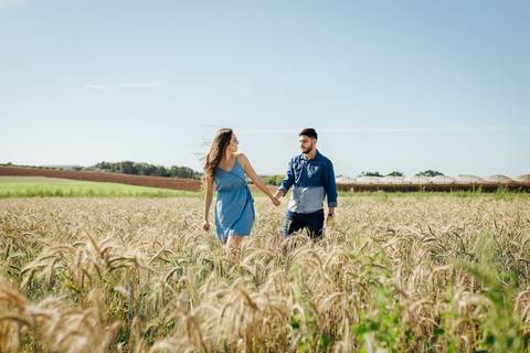 campo de trigo em holambra fernando oliveira fotografia pre wedding'