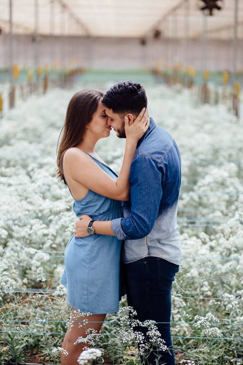 campo de trigo em holambra fernando oliveira fotografia pre wedding flores'