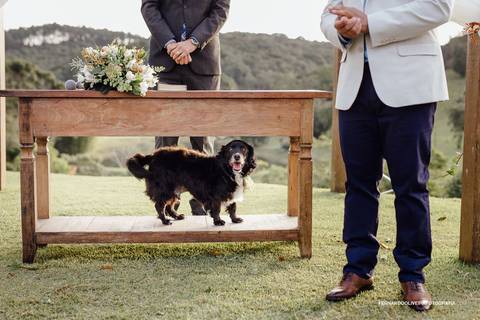 Casamento no Campo Local Villa Boa Vista Embu Guaçu Sp Fotografo Fernando Oliveira Fotografia Ar livre de dia decoração noiva vestido  cachorro'