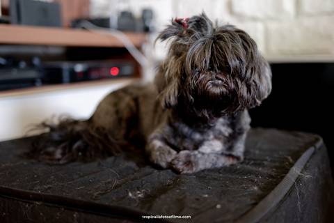Casamento no por do sol de Alexandre Kapiche e Mayara Rodrigues. Decoração colorida e tropical na Enseada Azul em Búzios - RJ.'